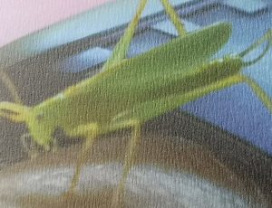Makroaufnahme der Papiertextur