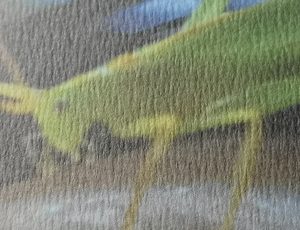 Makroaufnahme der Papiertextur