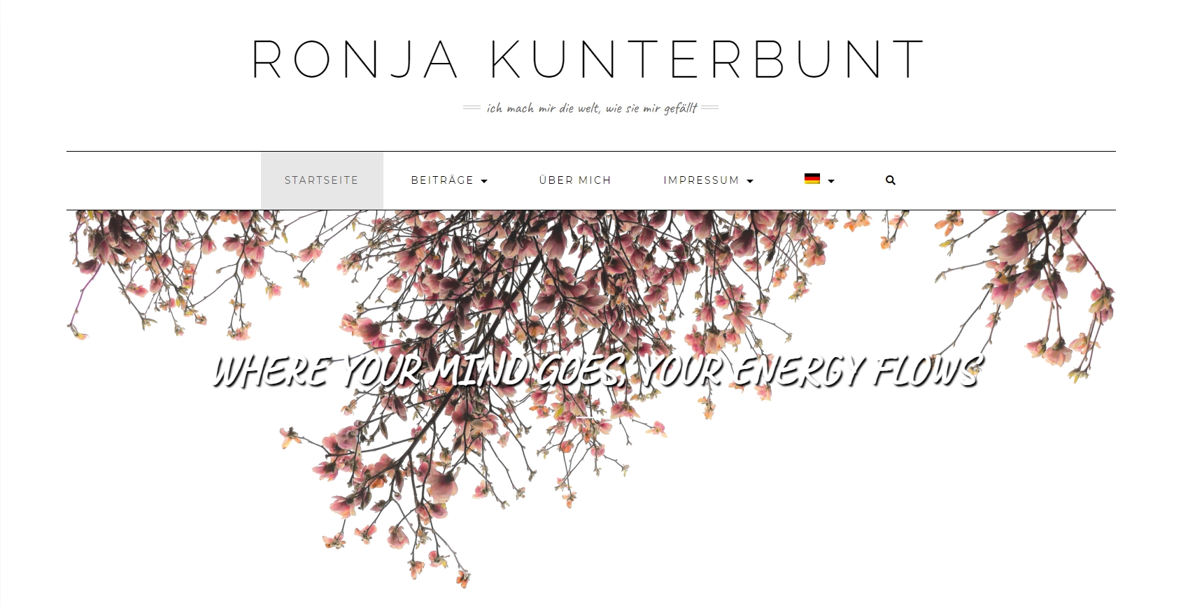 Webseite RONJA KUNTERBUNT